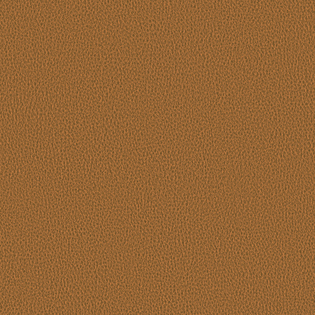Ethos, Camel
