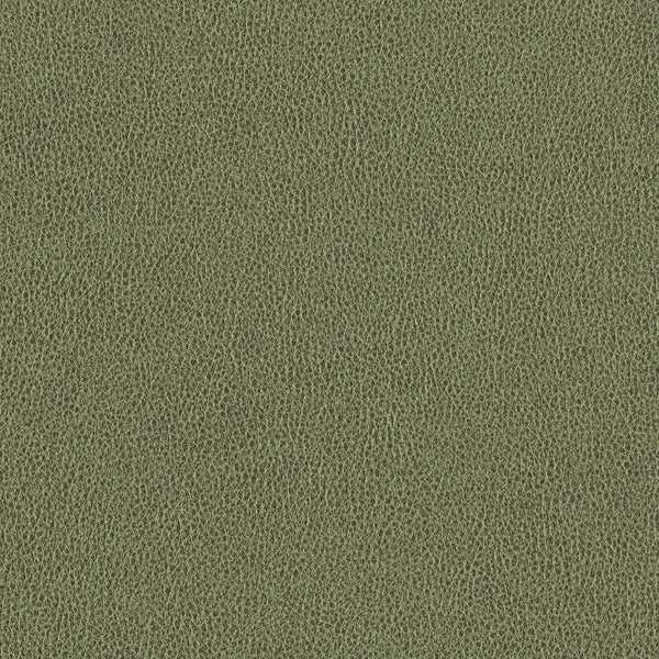 Ethos, Olive Wallcoverings | Designtex