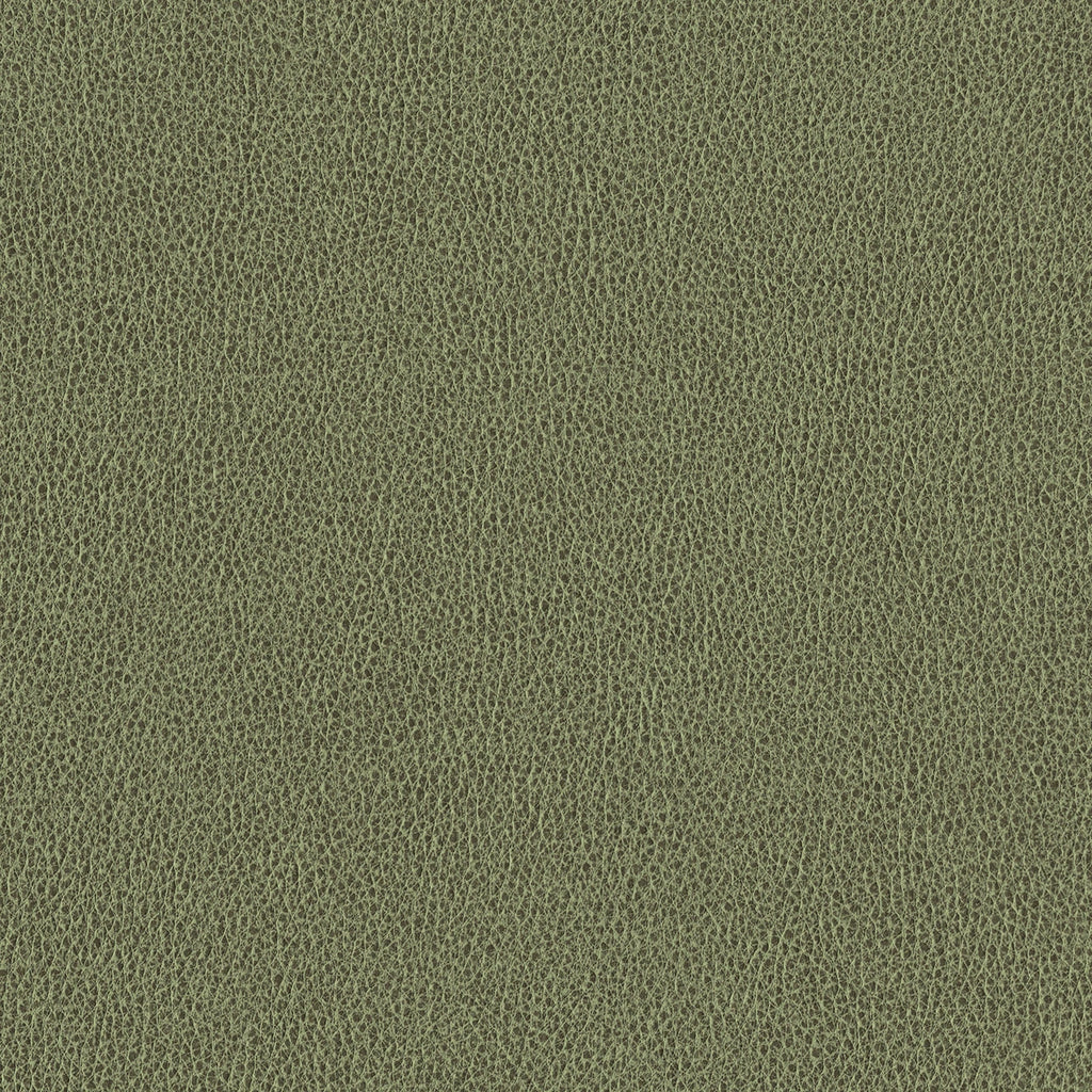 Ethos, Olive