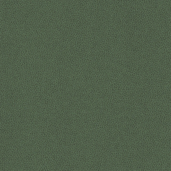 Ethos, Dark Olive Green Wallcoverings | Designtex