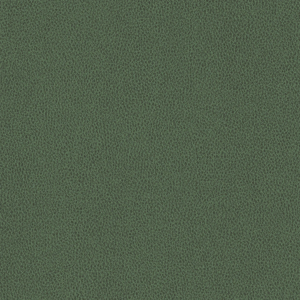 Ethos, Dark Olive Green