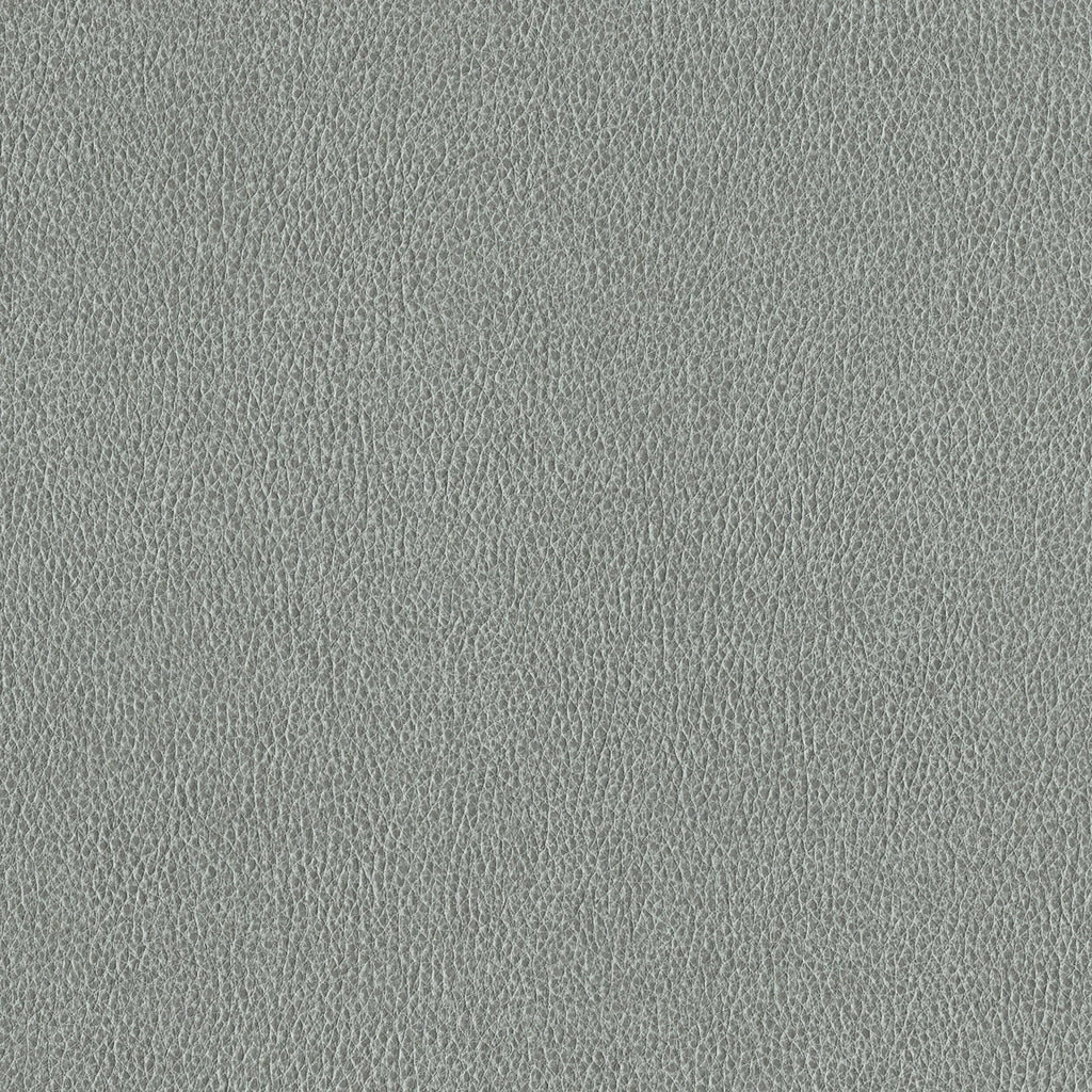 Ethos, Gray