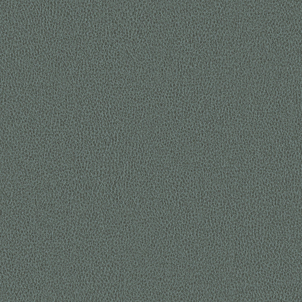 Ethos, Gray Wallcoverings | Designtex