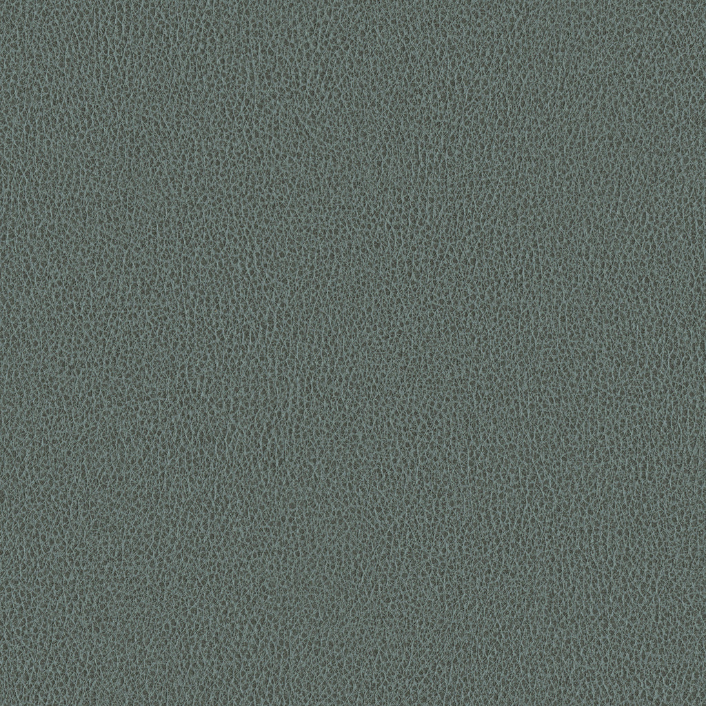 Ethos, Gray