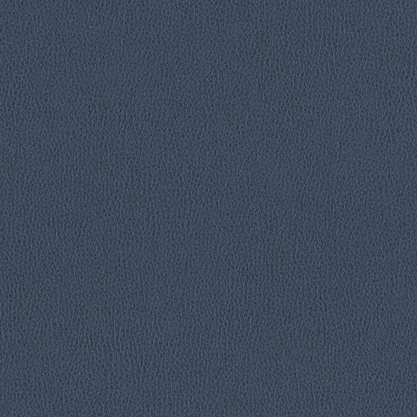 Ethos, Steel Blue Wallcoverings | Designtex