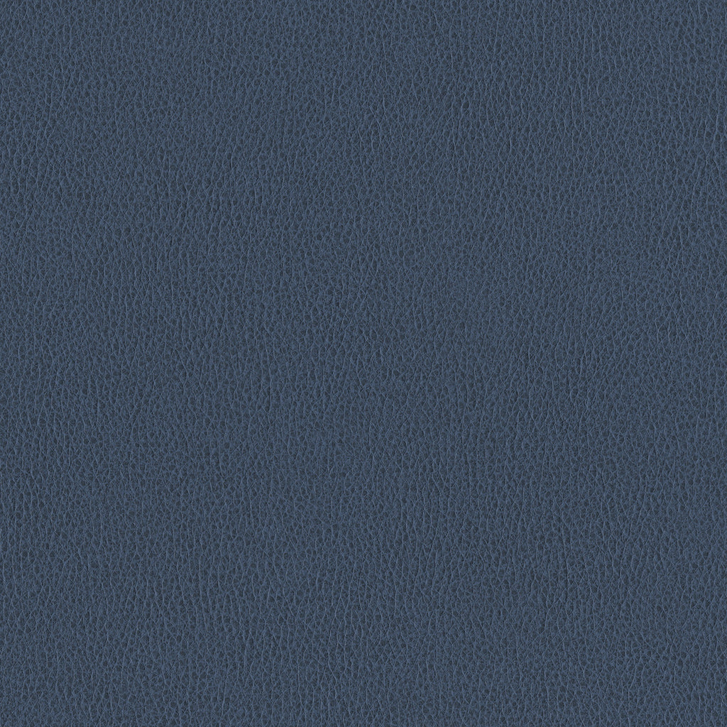 Ethos, Steel Blue