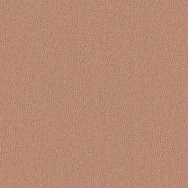 Ethos, Petal Wallcoverings | Designtex