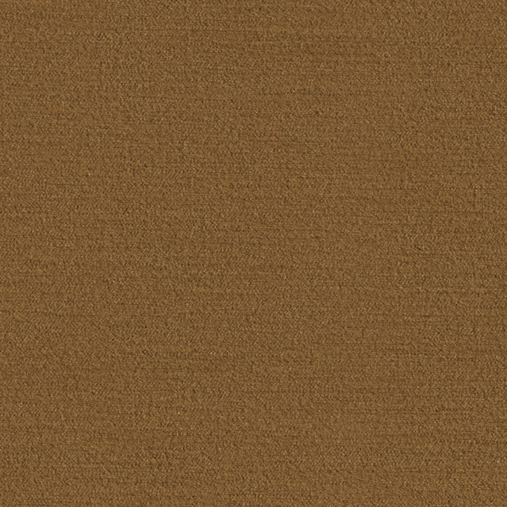 Salsa, Brown
