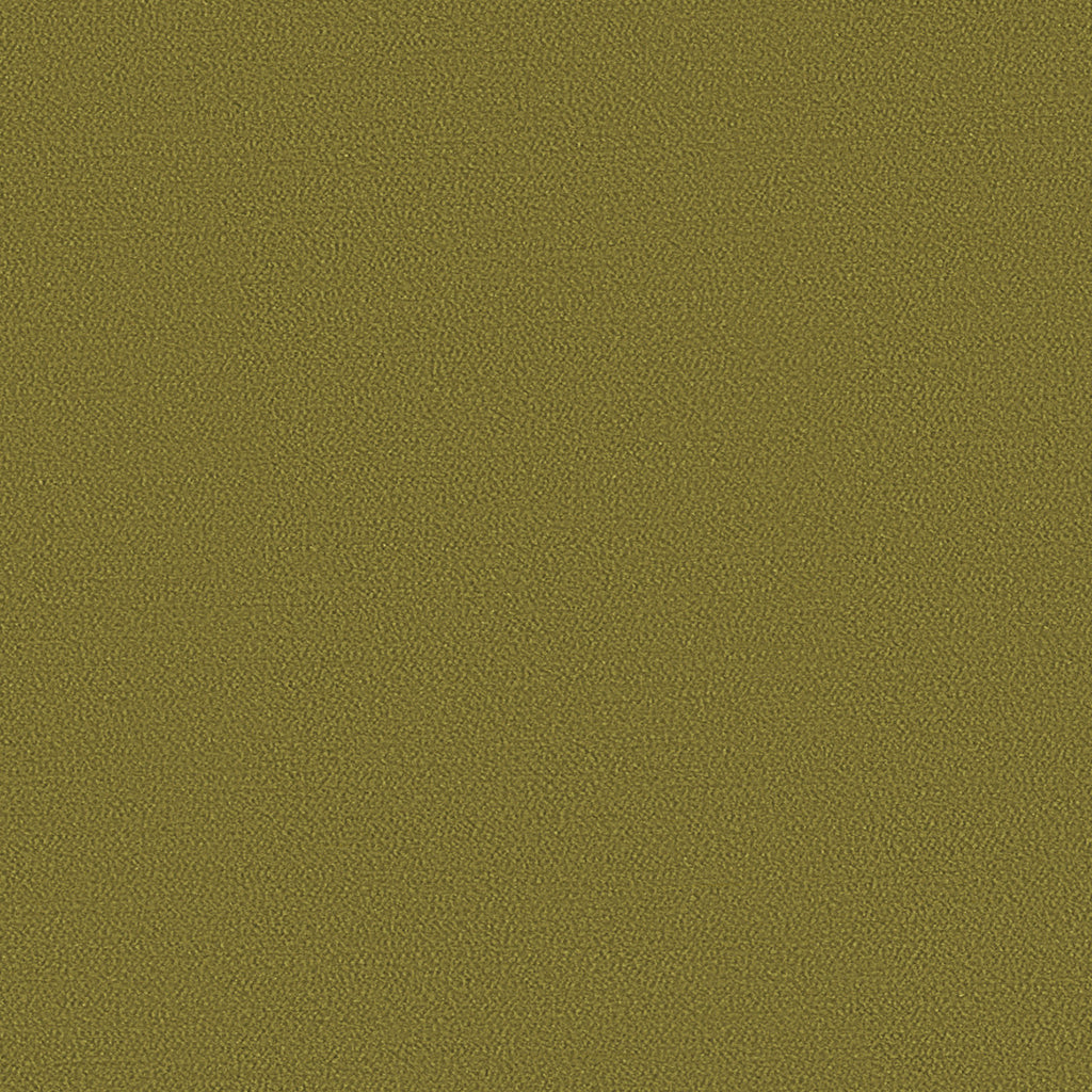 Salsa, Olive