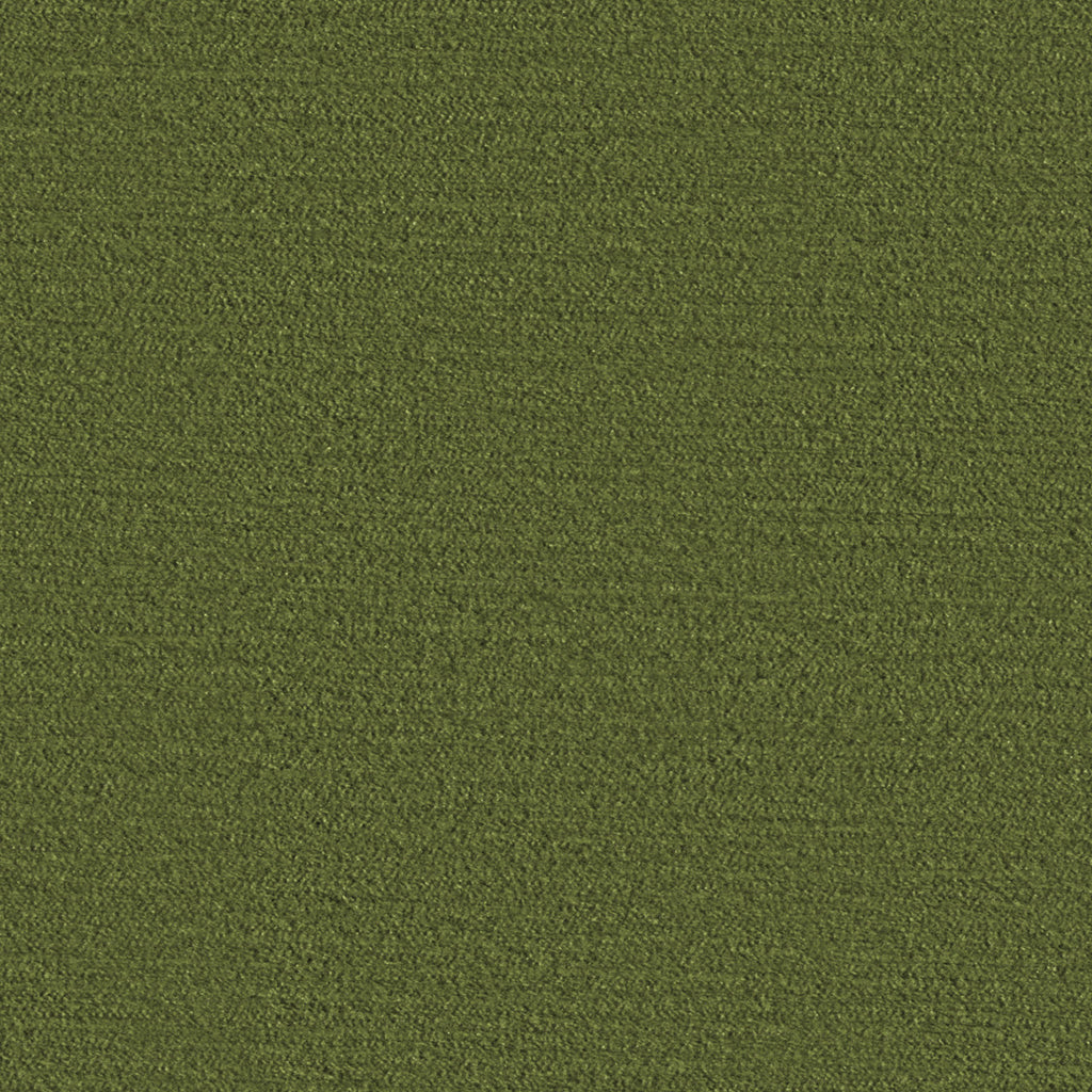 Salsa, Olive