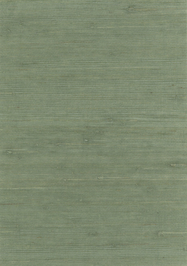Deal-Plain Jute Jute Wallcovering | Phillipe Romano