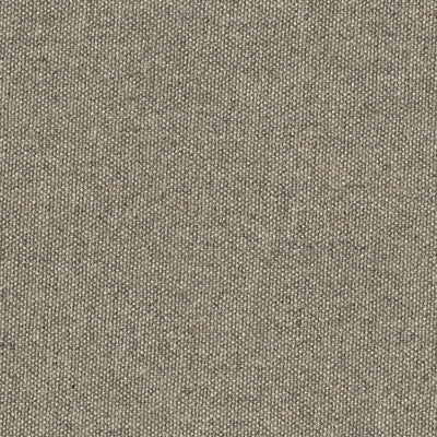 Micro Tweed, Fawn Wallcoverings | Designtex