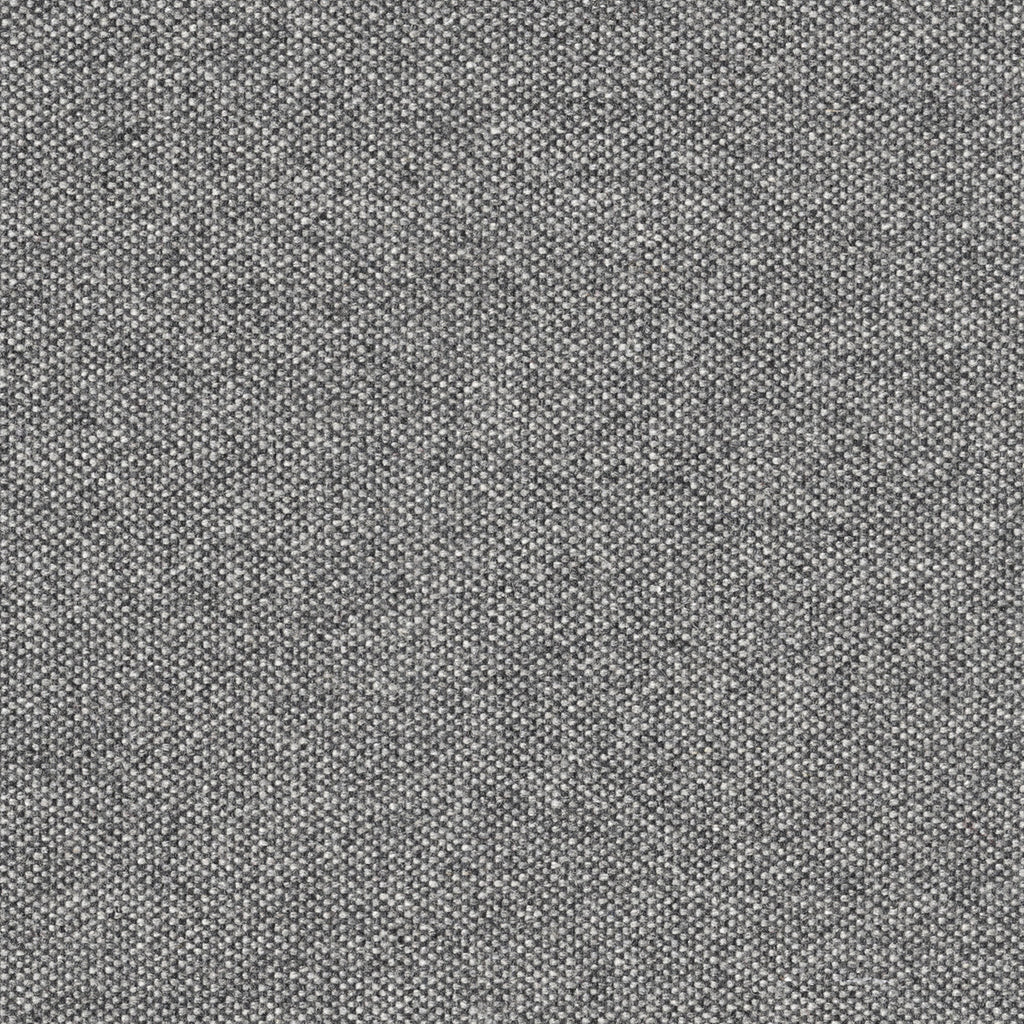 Micro Tweed, Dolphin