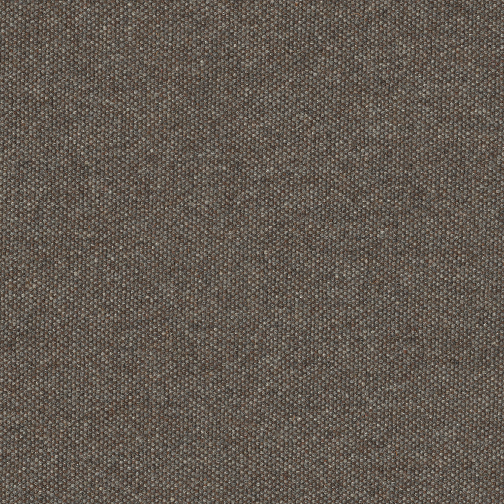 Micro Tweed, Bear