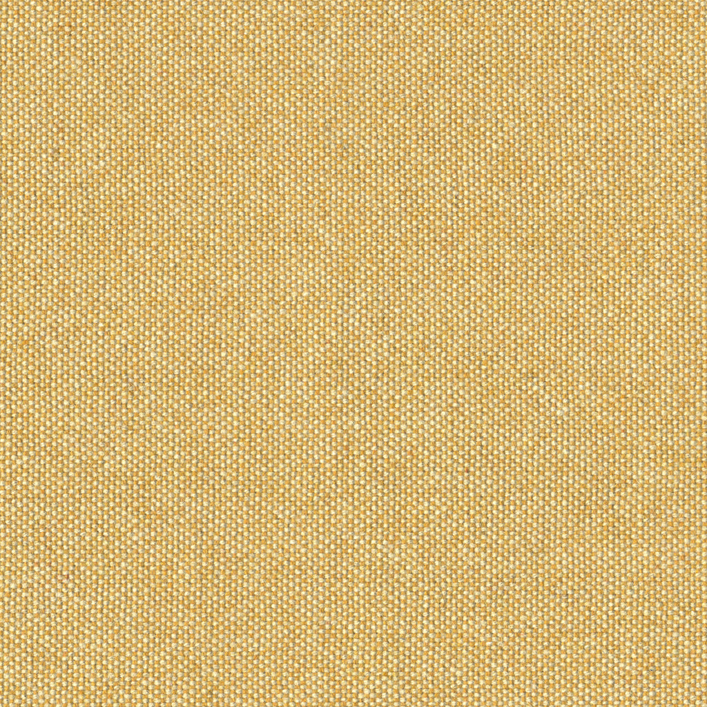 Micro Tweed, Sunny