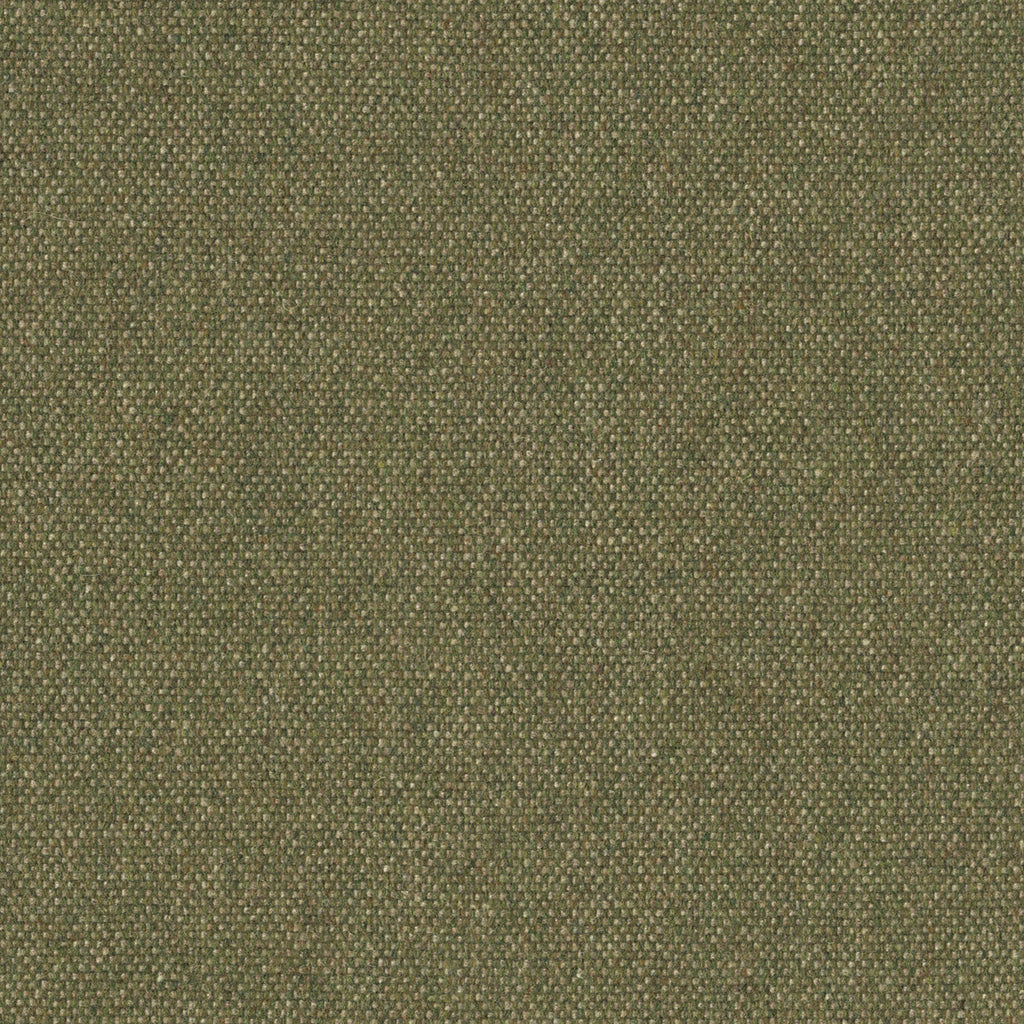 Micro Tweed, Lizard