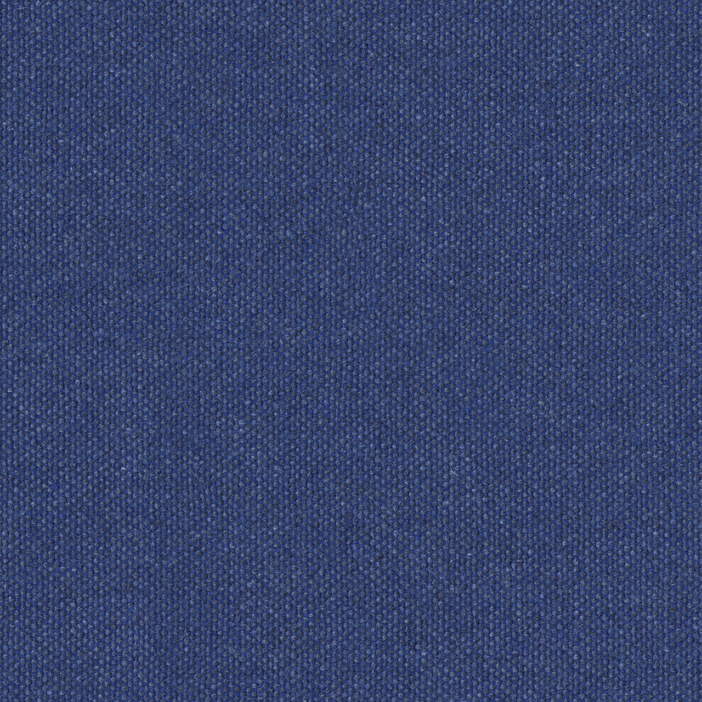 Micro Tweed, Neptune