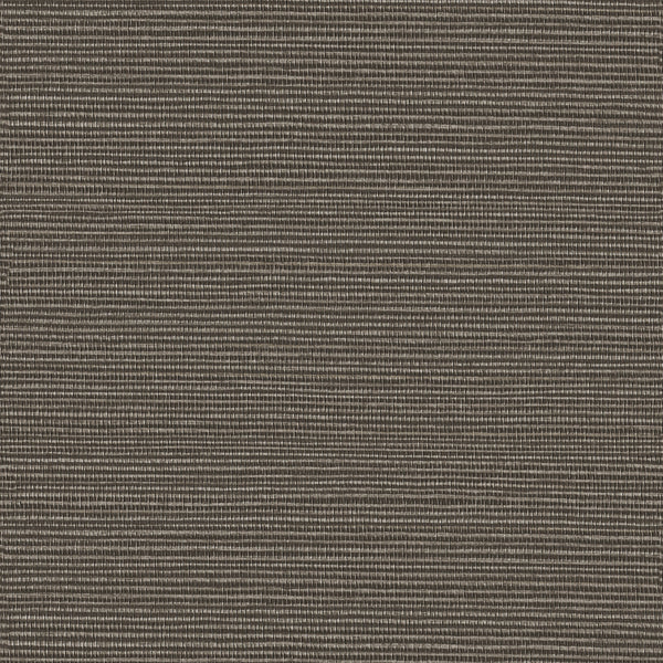 Thatch, Barley Wallcoverings | Designtex