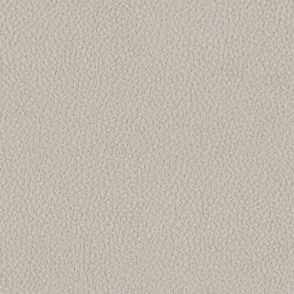 Pebble, Ecru Wallcoverings | Designtex