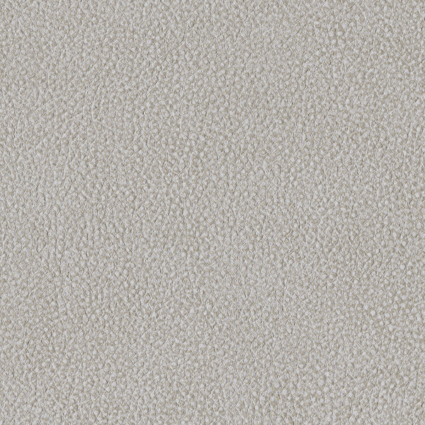 Pebble, Chalk Wallcoverings | Designtex