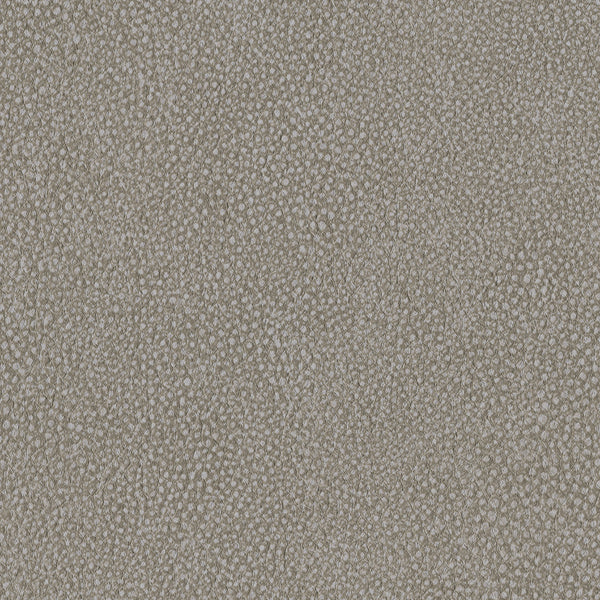 Pebble, Fancy Wallcoverings | Designtex