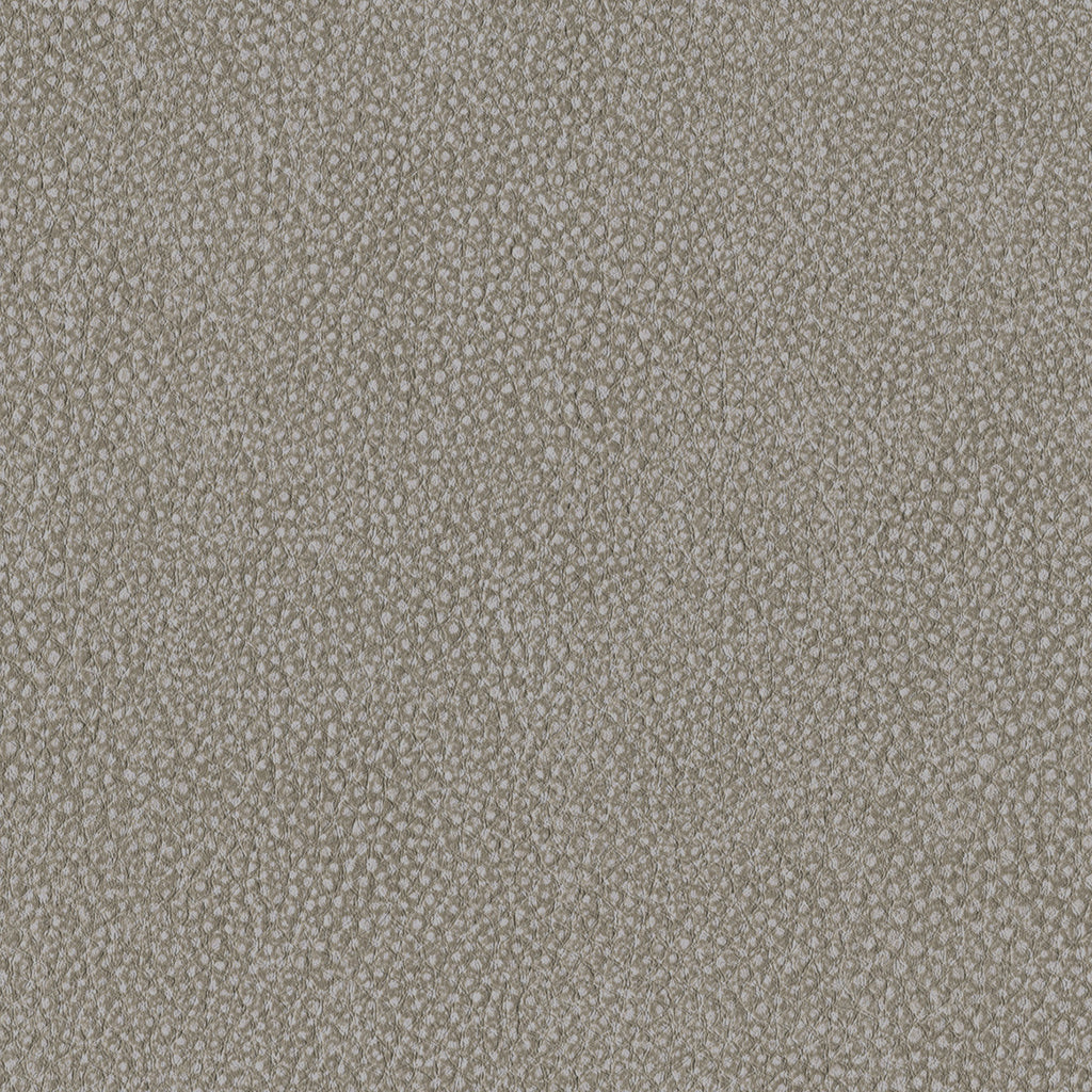 Pebble, Fancy
