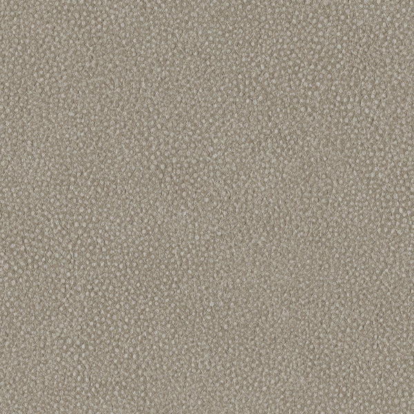 Pebble, Taupe Wallcoverings | Designtex