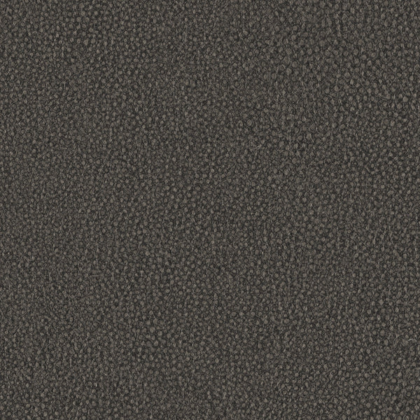 Pebble, Rocky Wallcoverings | Designtex