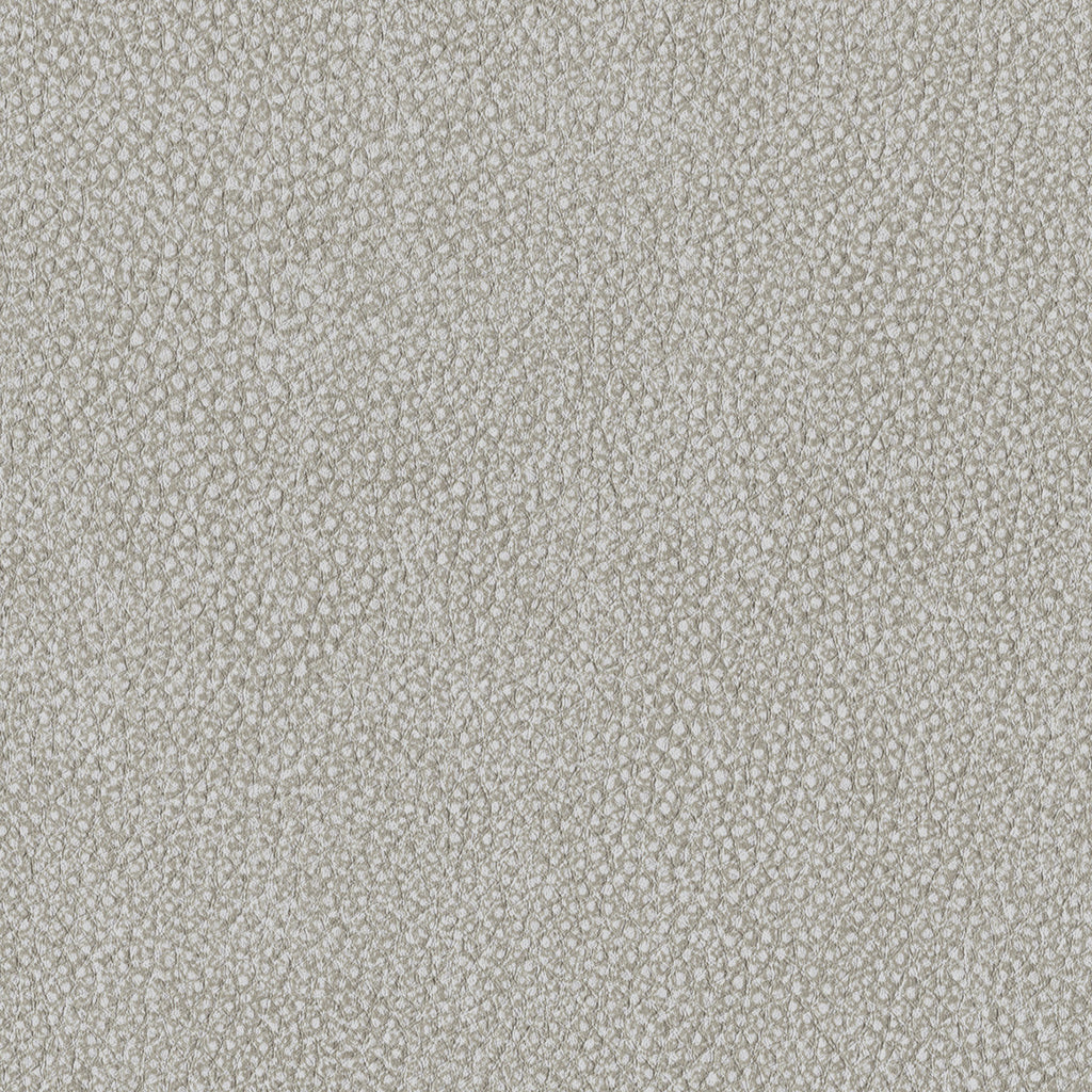 Pebble, Fog