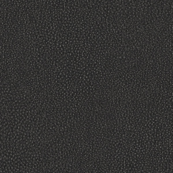 Pebble, Hematite Wallcoverings | Designtex