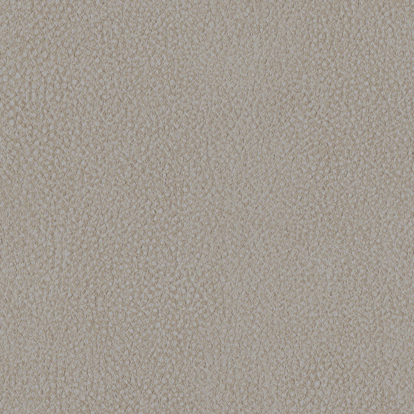 Pebble, Alabaster Wallcoverings | Designtex
