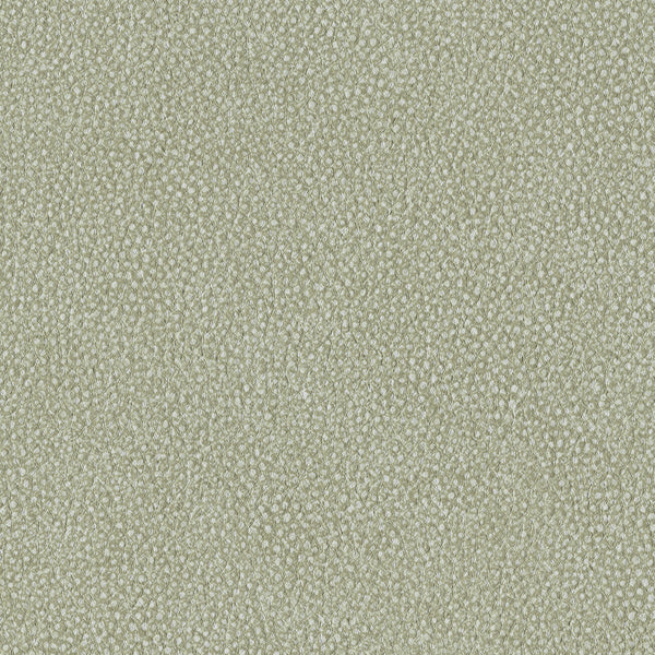 Pebble, Conifer Wallcoverings | Designtex
