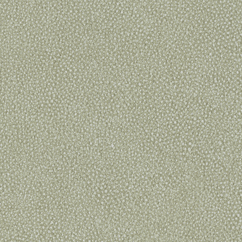 Pebble, Conifer