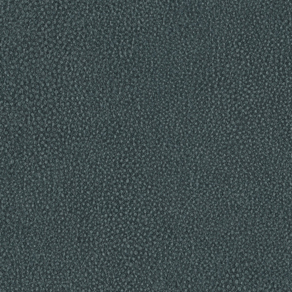 Pebble, Dark Gray Wallcoverings | Designtex
