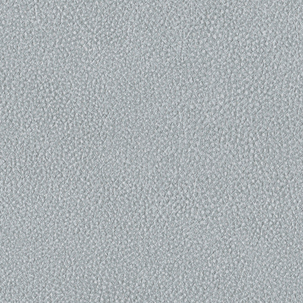 Pebble, Waterfall Wallcoverings | Designtex