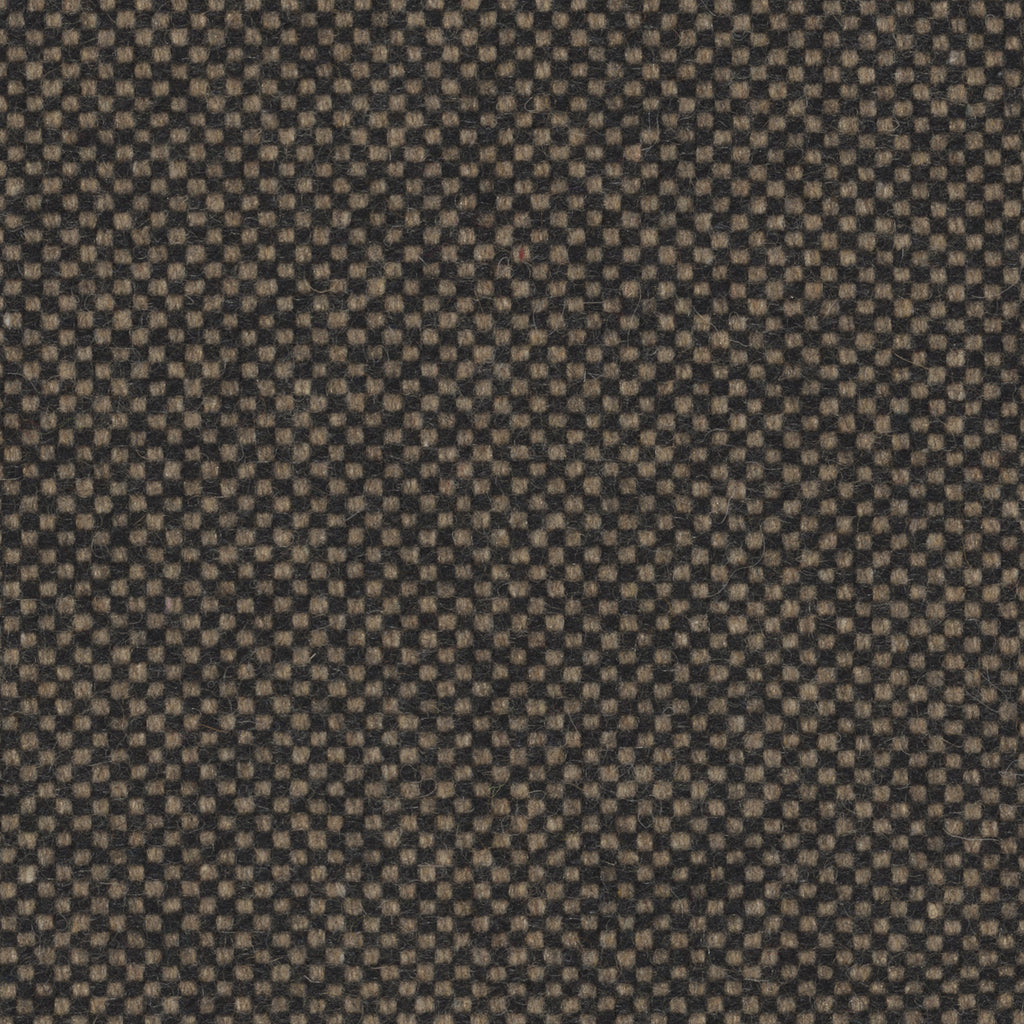 Checker, Earth