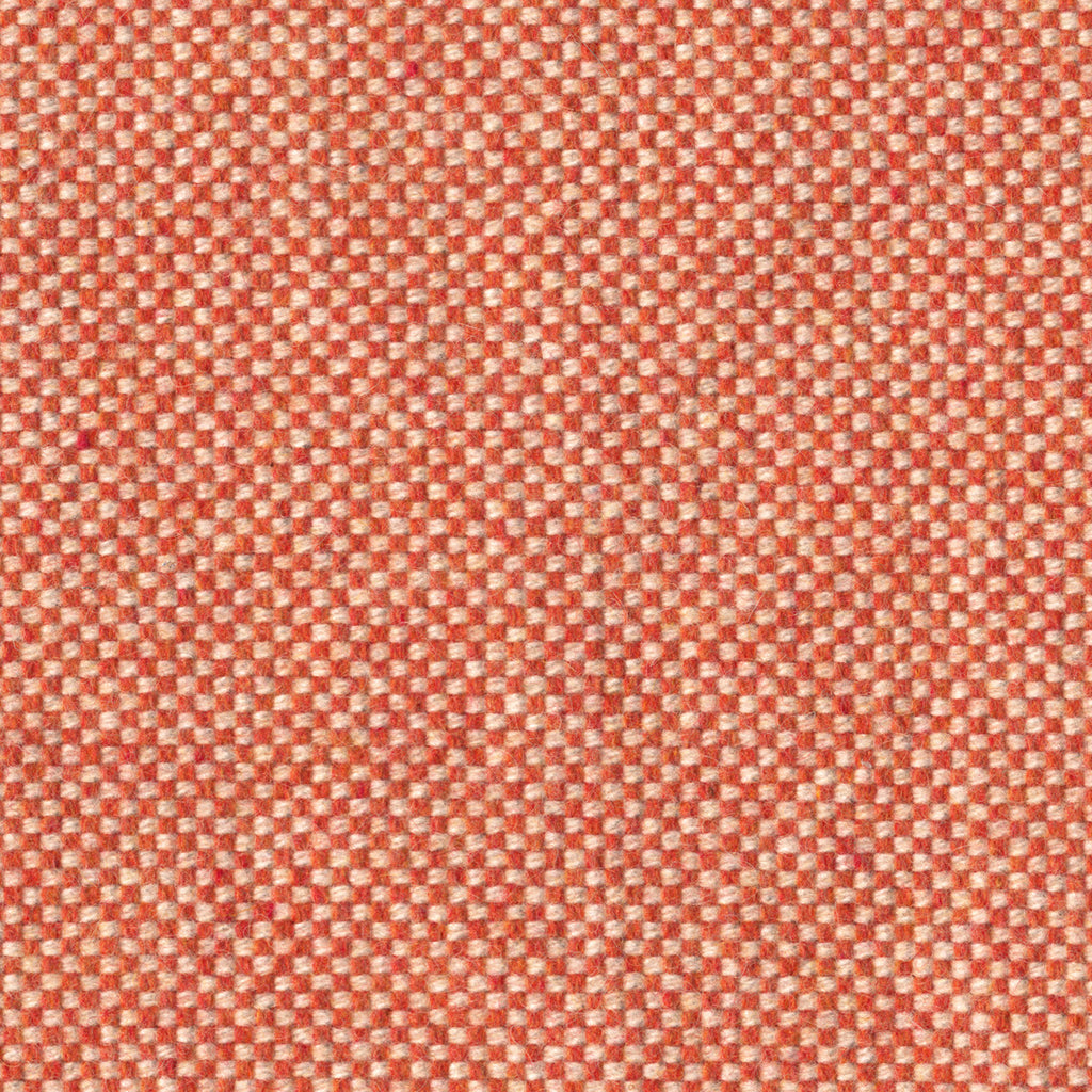 Checker, Persimmon
