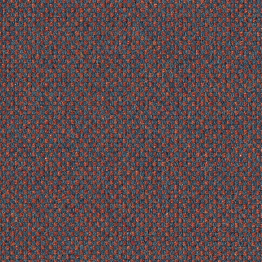 Checker, Dragonfly