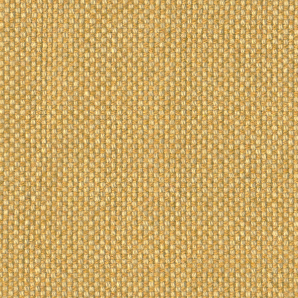 Checker, Pollen Wallcoverings | Designtex