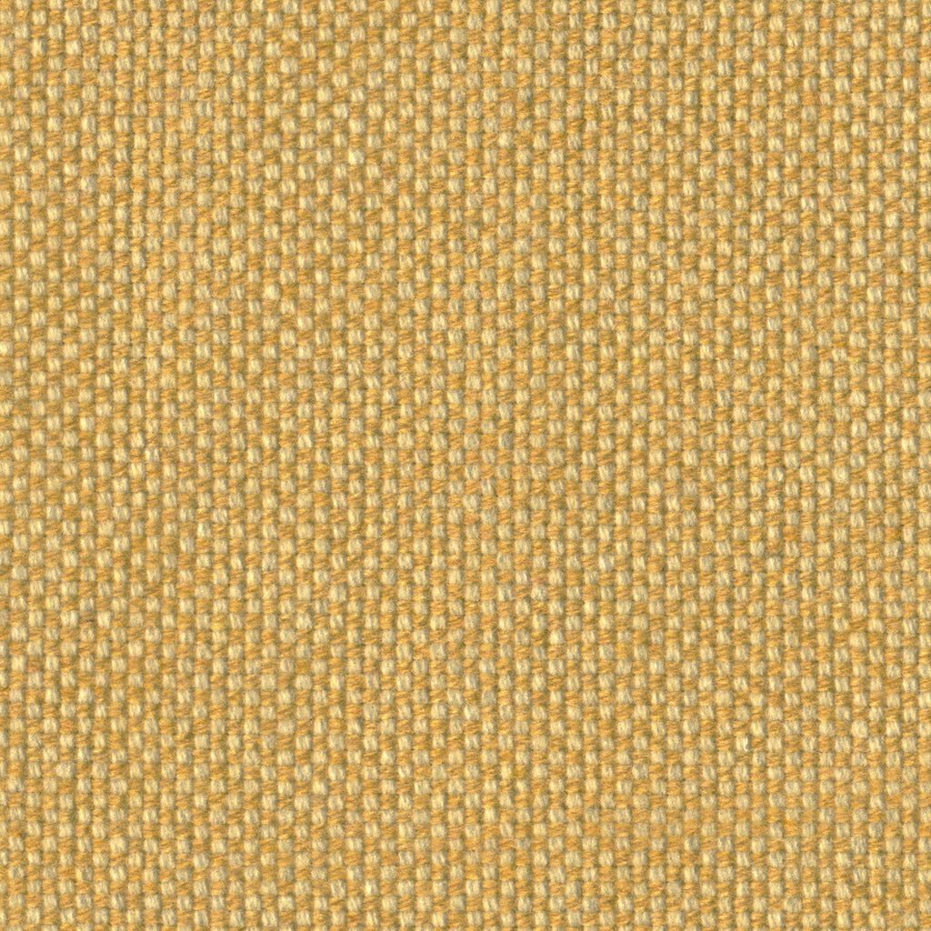 Checker, Pollen