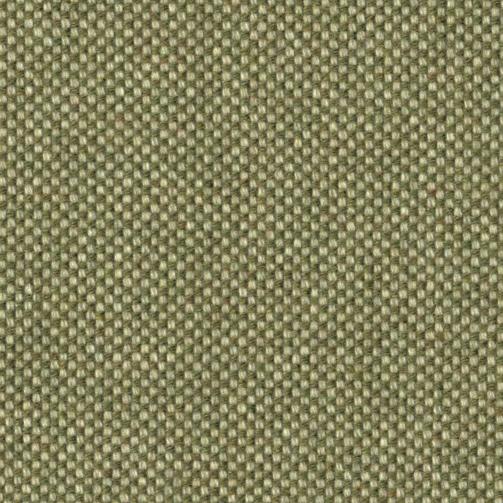 Checker, Tomatillo