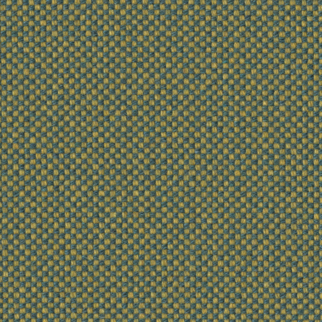 Checker, Iguana