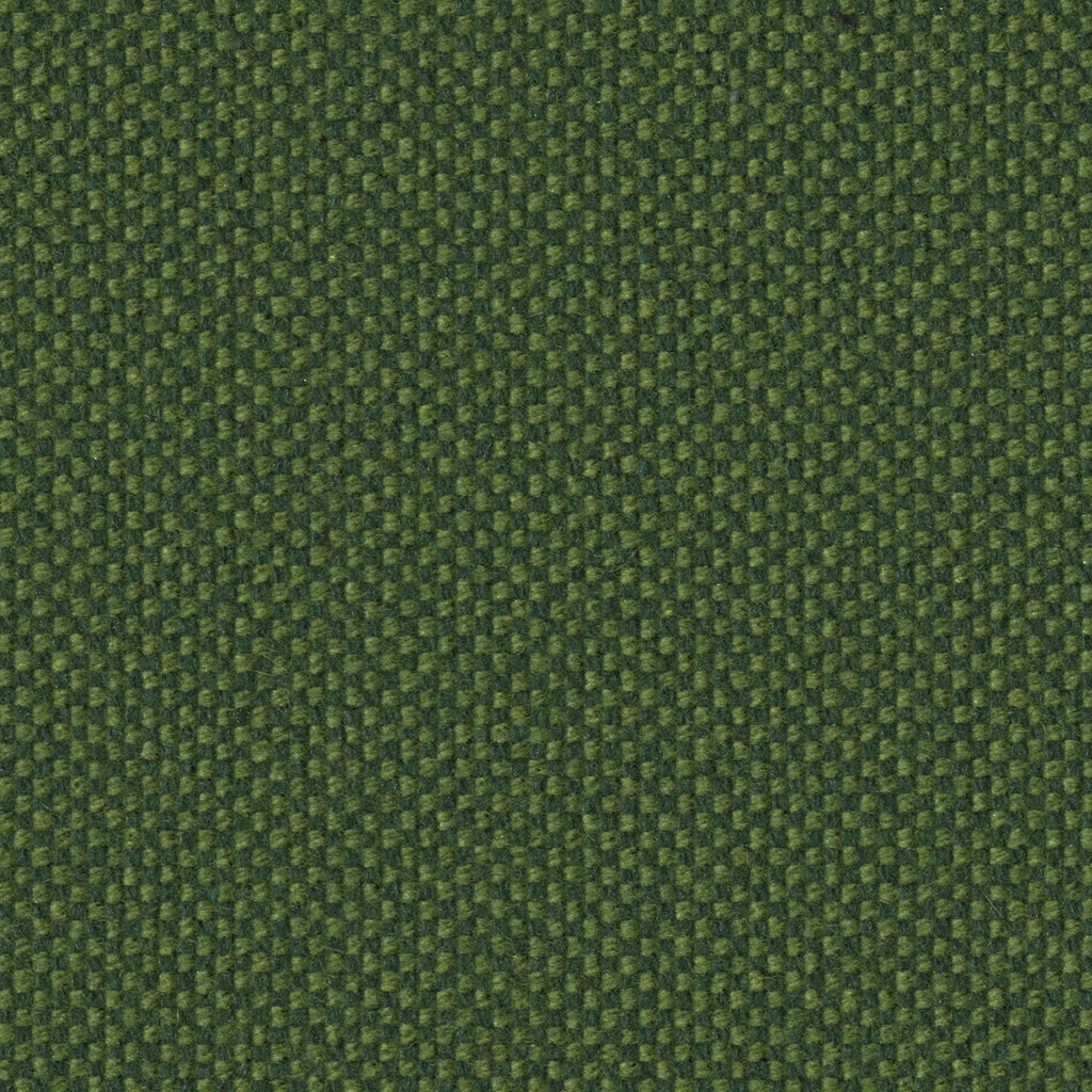 Checker, Monstera