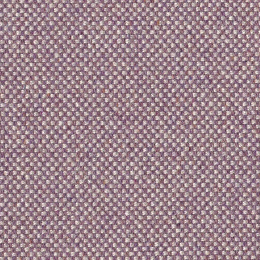 Checker, Orchid