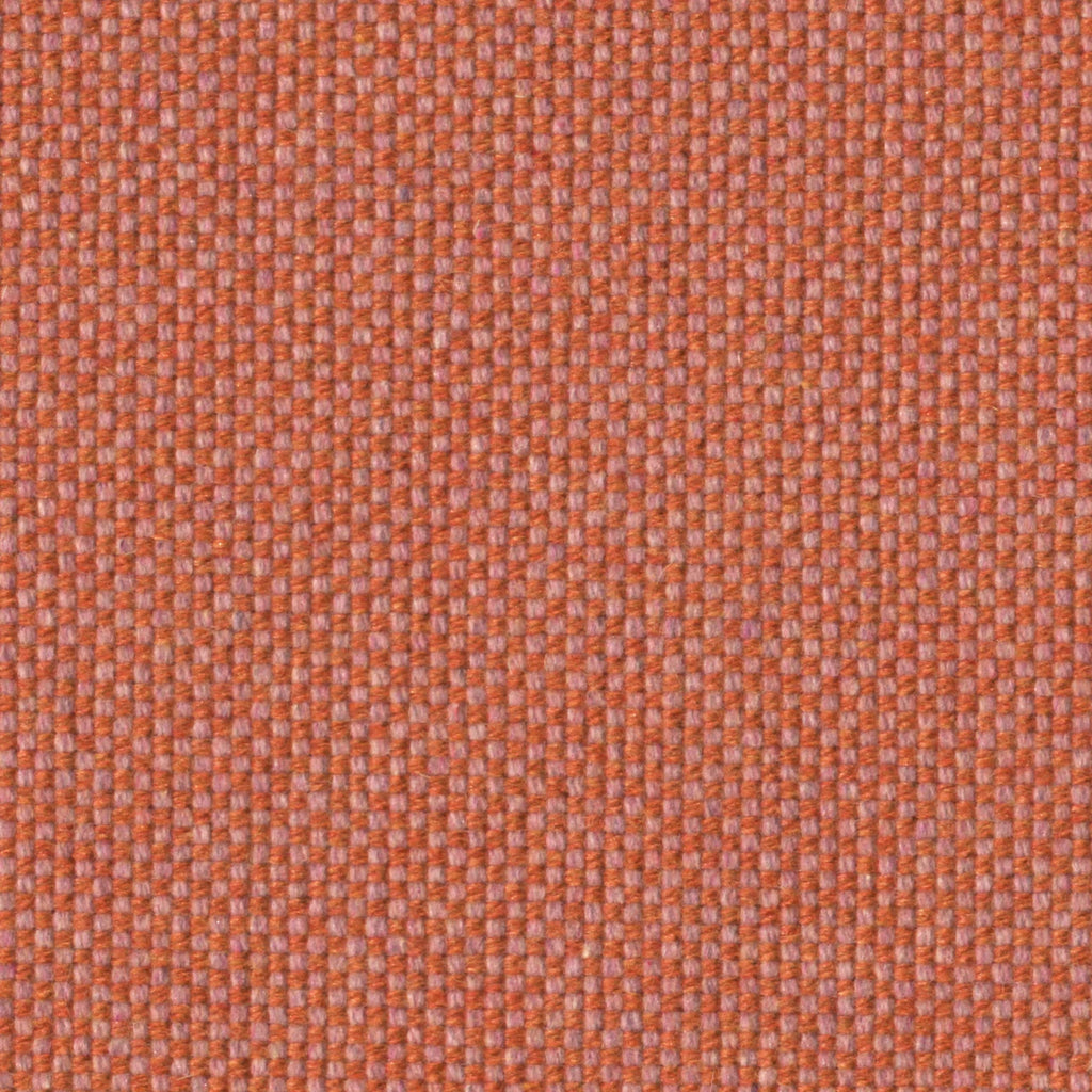 Checker, Anemone
