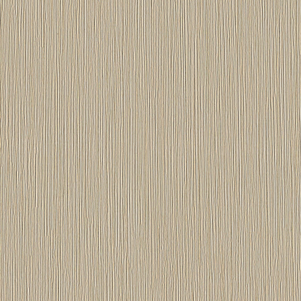 Bristle, Alabaster Wallcoverings | Designtex
