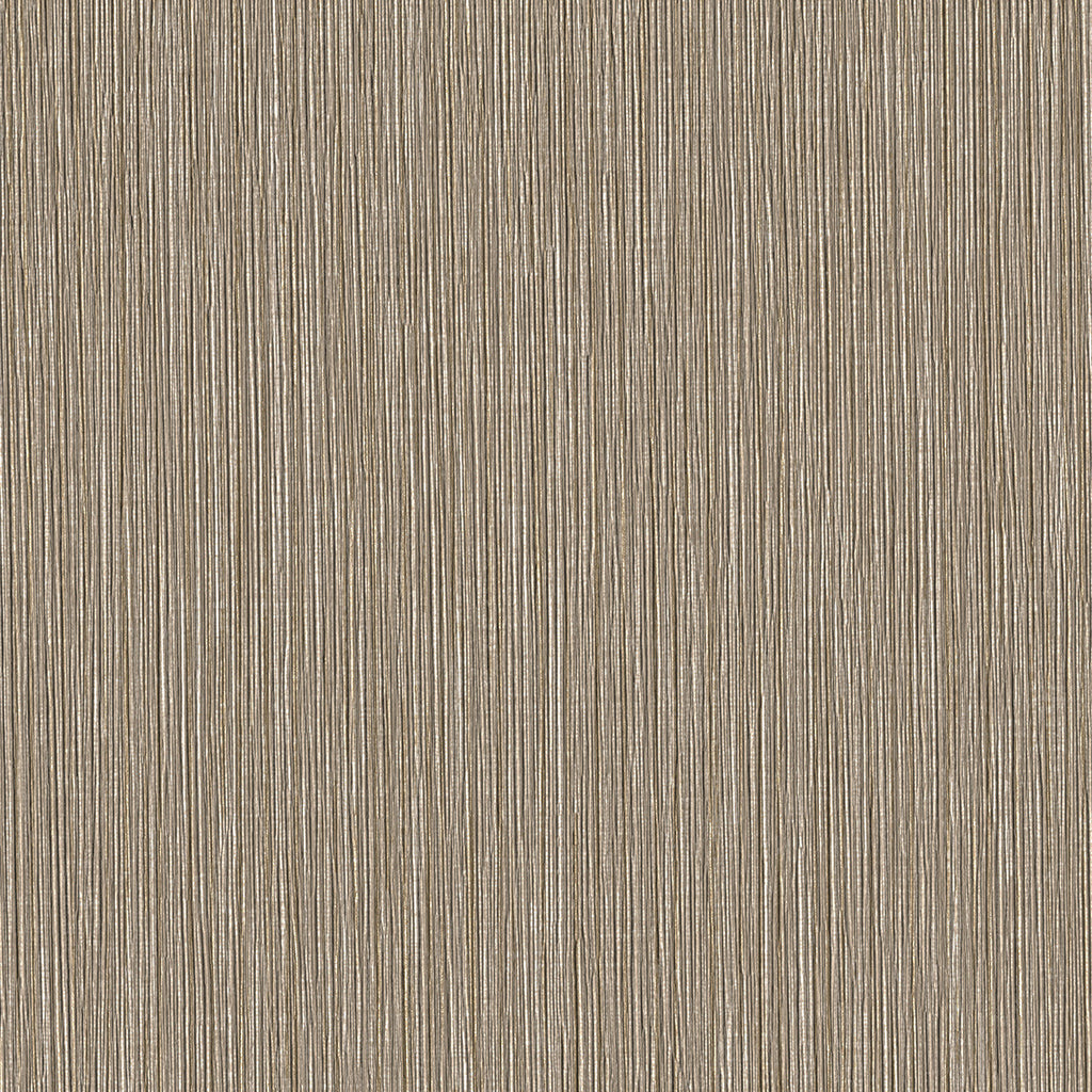 Bristle, Fossil