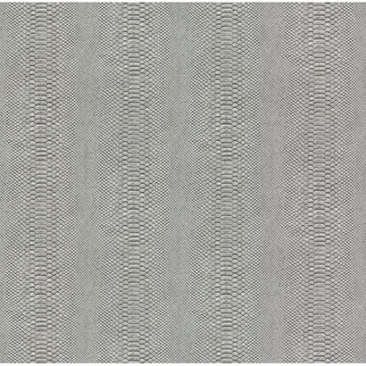 Cobra Wallpaper | Jeffrey Stevens