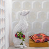 Soller Ivory, Ivory