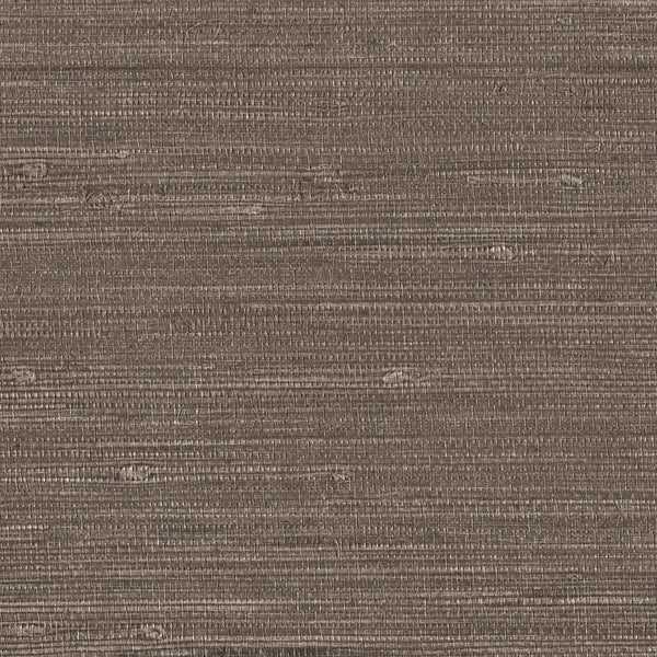 Grasscloth, Taupe Wallcoverings | Designtex